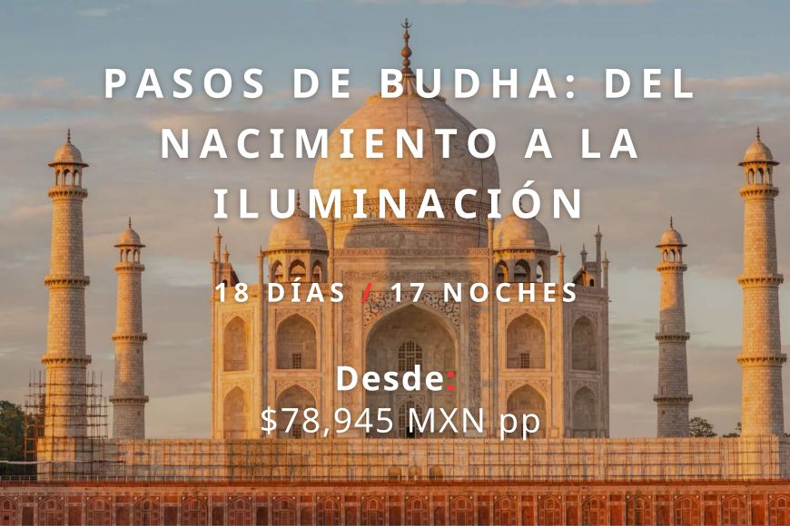 Pasos de Budha: Del nacimiento a la Iluminación