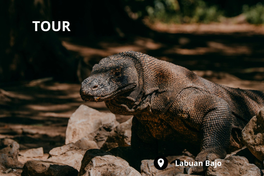 Tour de 2 días por las islas del dragón de Komodo