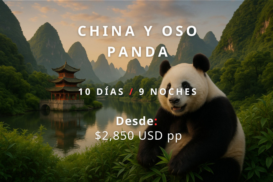 China y oso panda