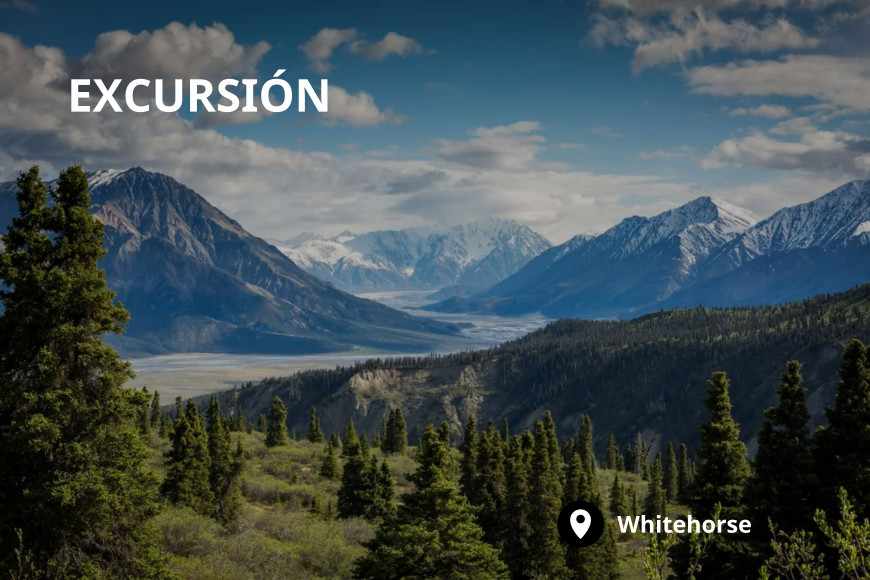   Excursión al Parque Nacional de Kluane