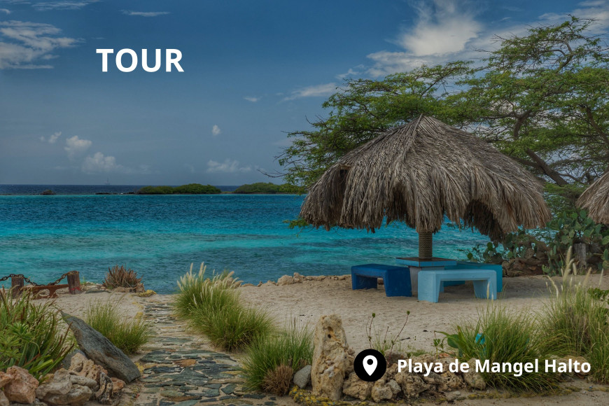 Tour por el sur de Aruba