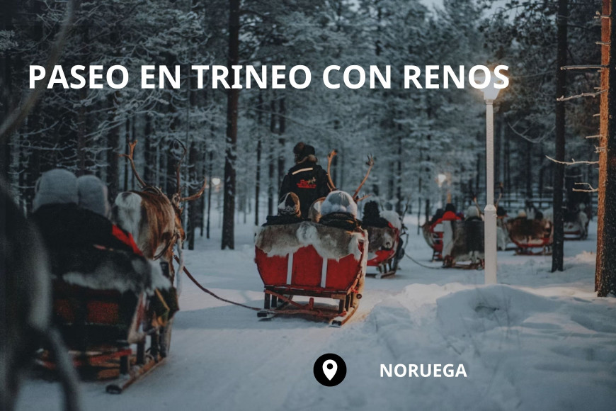 Norugea: Paseo en trineo de renos y visita a un campamento sami 