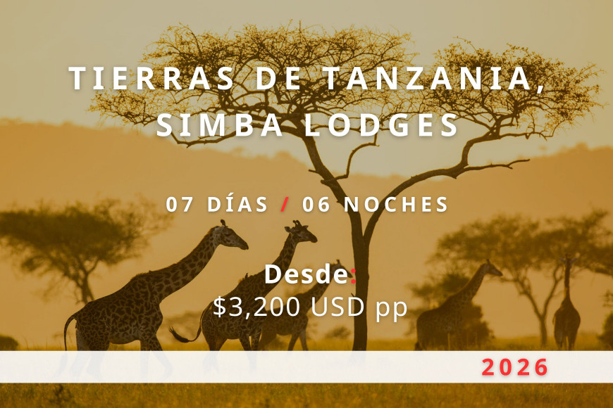 Tierras de Tanzania, Simba Lodges