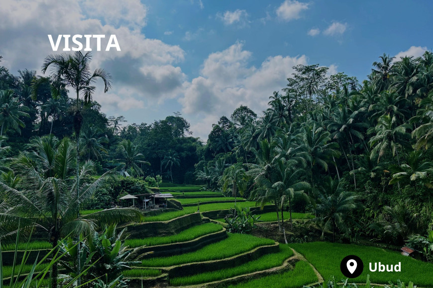 Visita guiada por Ubud