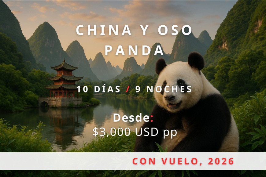 China y oso panda 2026