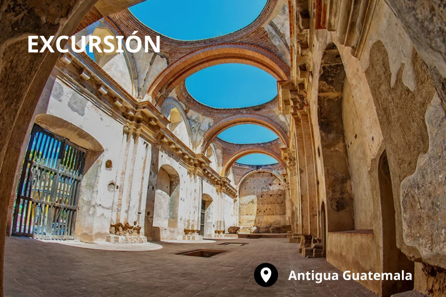 Excursión a Antigua Guatemala + Visita a una finca cafetera